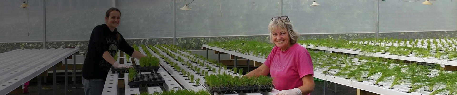 Customized Solutions