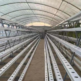 Vertical A-Frame Hydroponic System