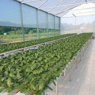 Horizontal Type Hydroponic PVC Channel