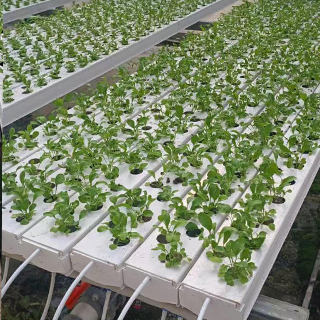 Multi Layers Greenhouse NFT System