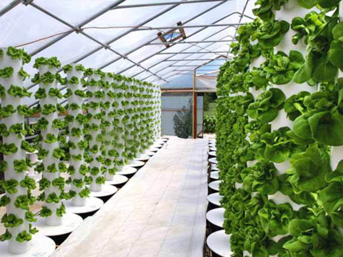 Cylindrical Vertical Hydroponic Tower