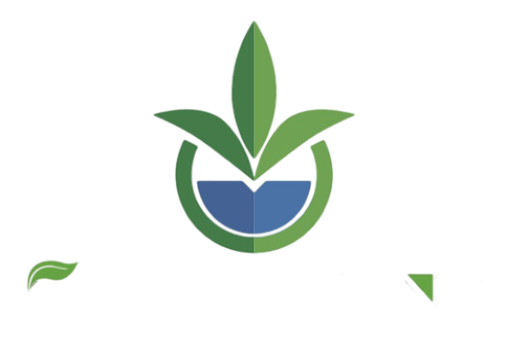 G AND N FORTUNE LIMITED 