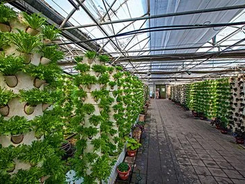 Outdoor Hydroponic Tower Garden: Weather-Resistant, High-Performance, and Tailored for Outdoor Growing