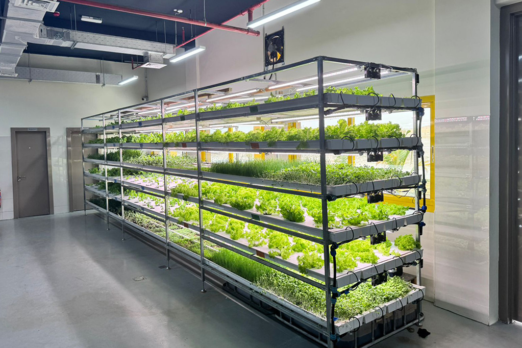 Project-Based Hydroponic System Design