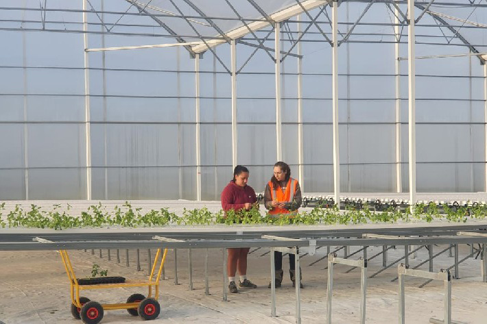 France Mobile Perforated Cultivation Trough System Project