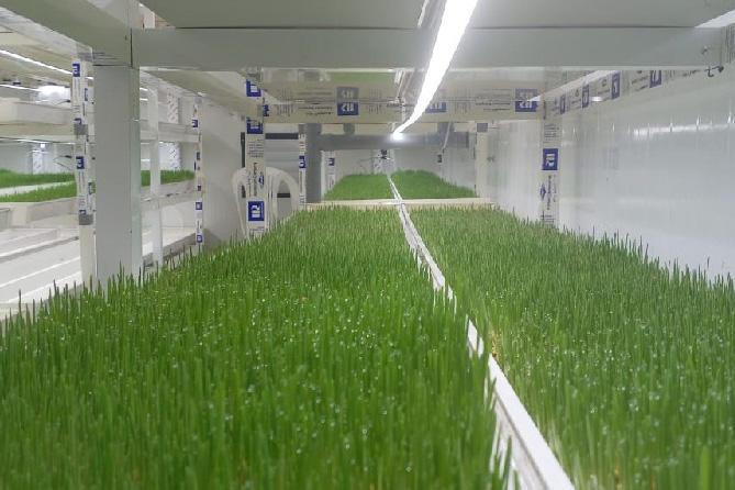 Morocco Flat Substrate Trough System Project