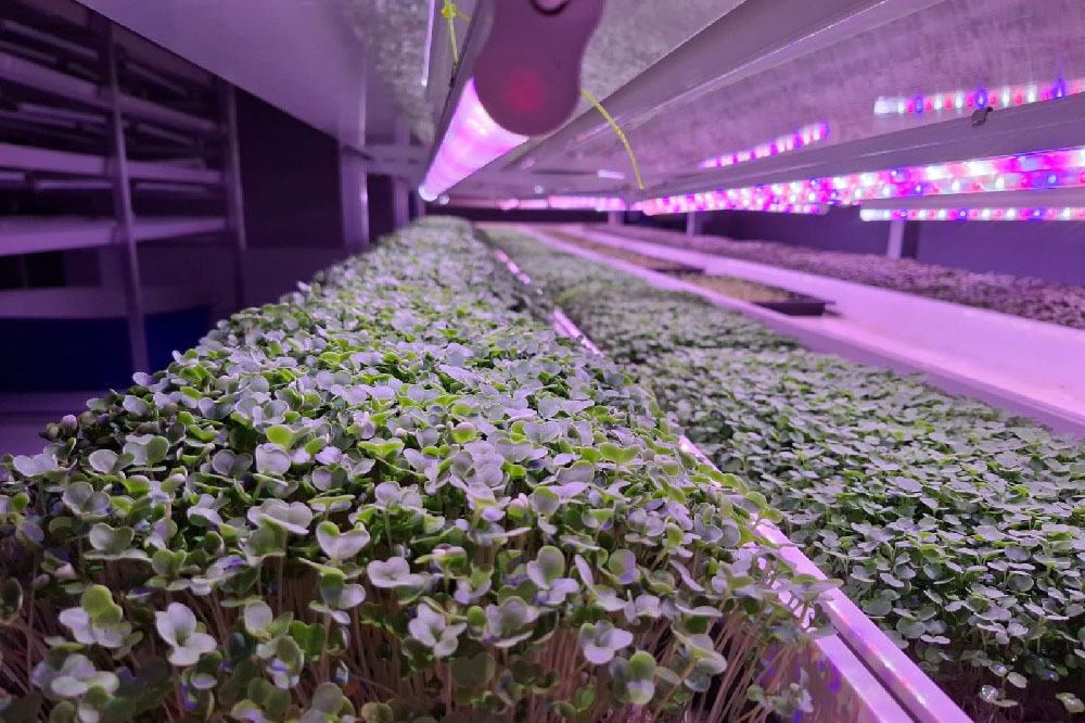 Thailand Flat Substrate Trough System Project