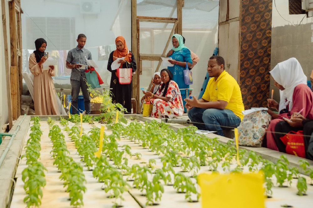 Tanzania Floating Raft Hydroponic System Project