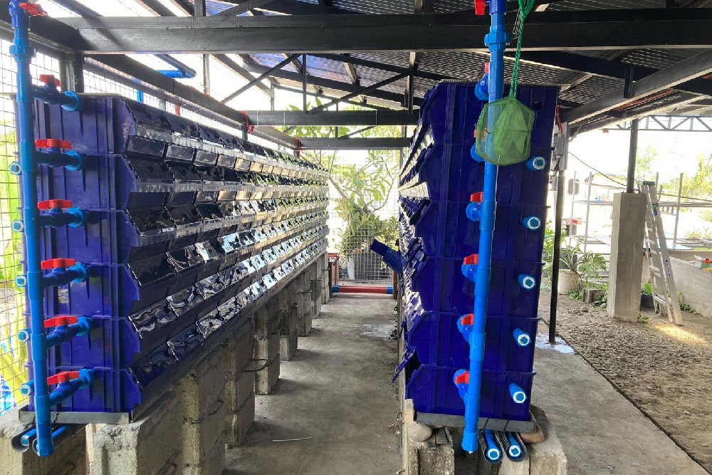 Philippines Crab Plate Aquaculture System Project