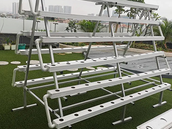 How to Grow Plants in Hydroponic System