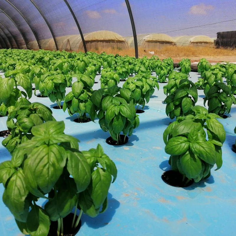 Hydroponic Floating Board