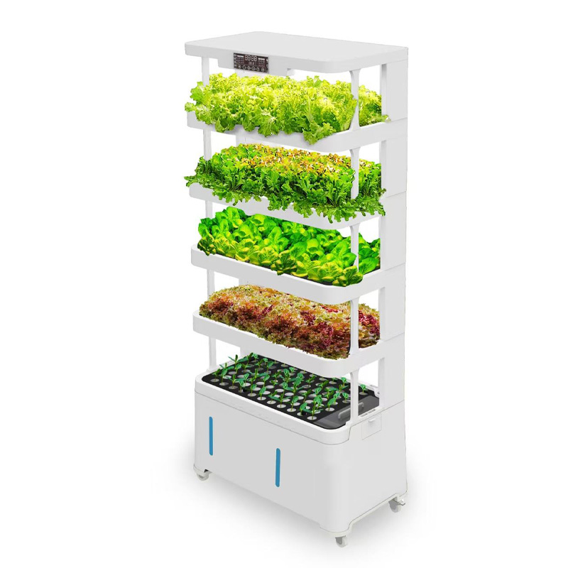 Vertical Farming Hydroponic
