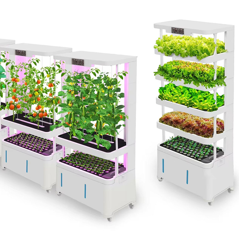 Vertical Farming Hydroponic