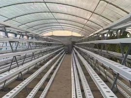 What Is an NFT Channel?