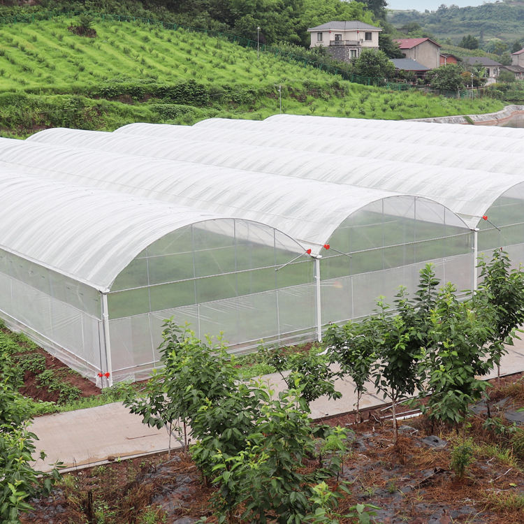 Plastic Film Greenhouse Plastic Film Greenhouse