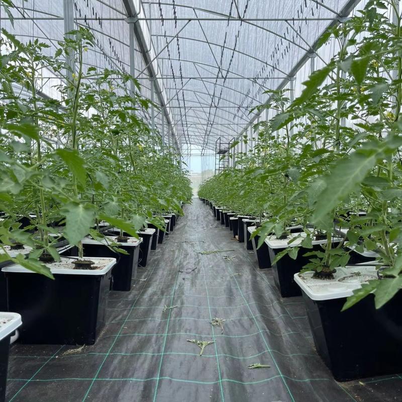 Best Woven Landscape Fabric