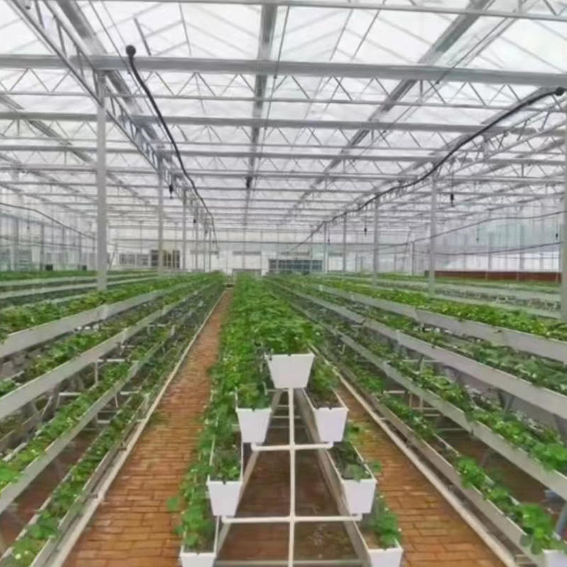 Strawberry Gutter System