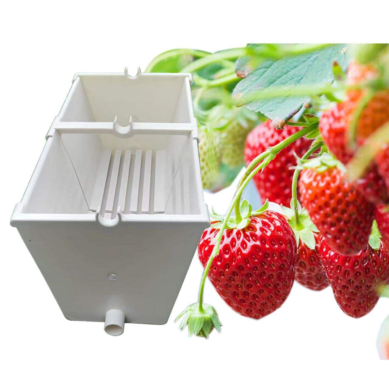 Strawberry Gutter System Strawberry Gutter System