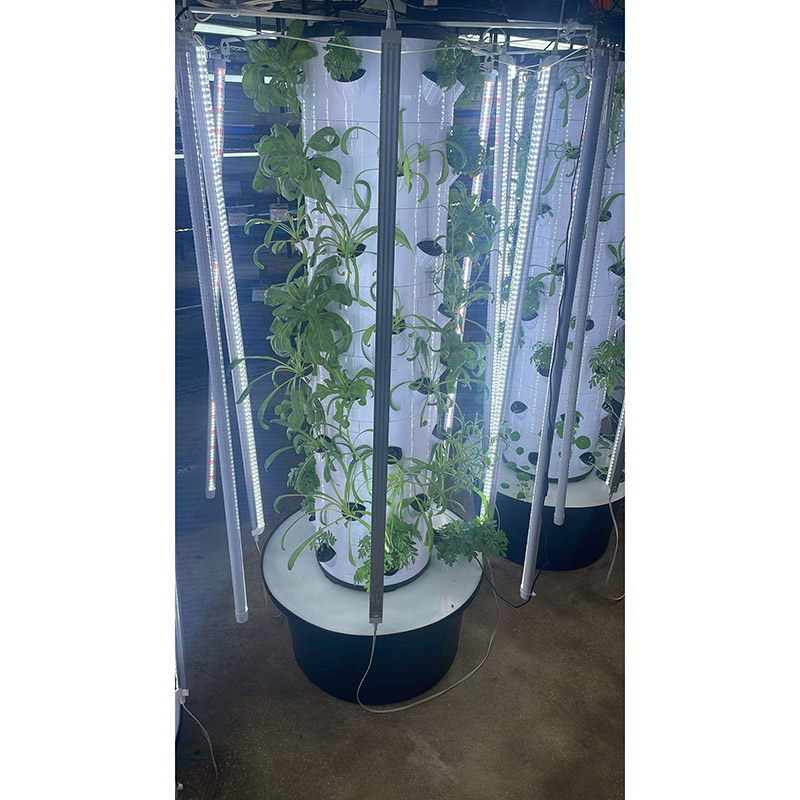 Vertical Grow Tower