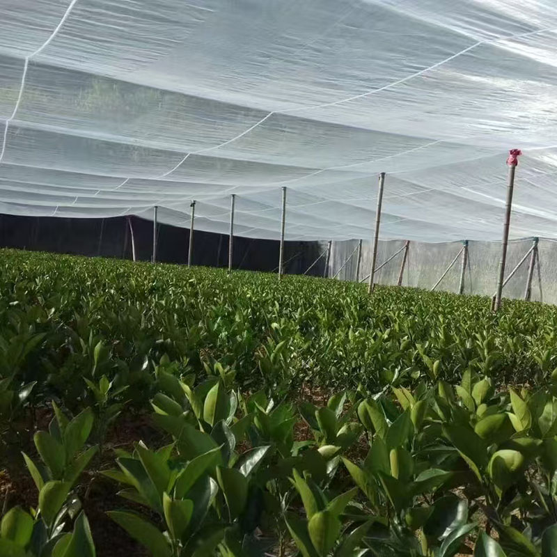 Greenhouse Insect Net