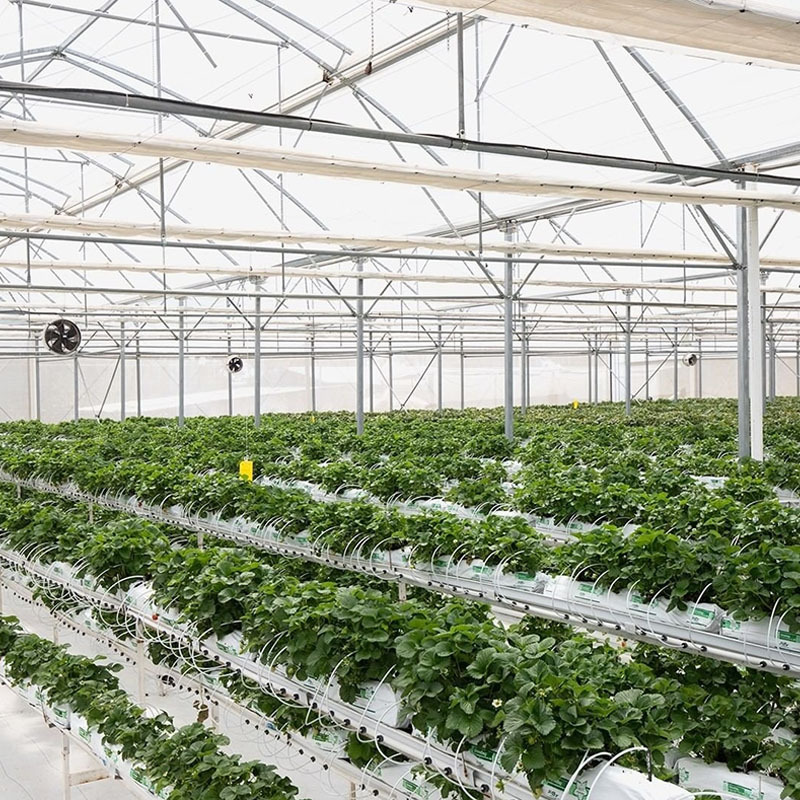 Gutter Hydroponic System