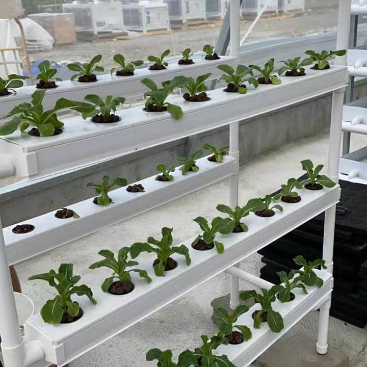 NFT Hydroponic System
