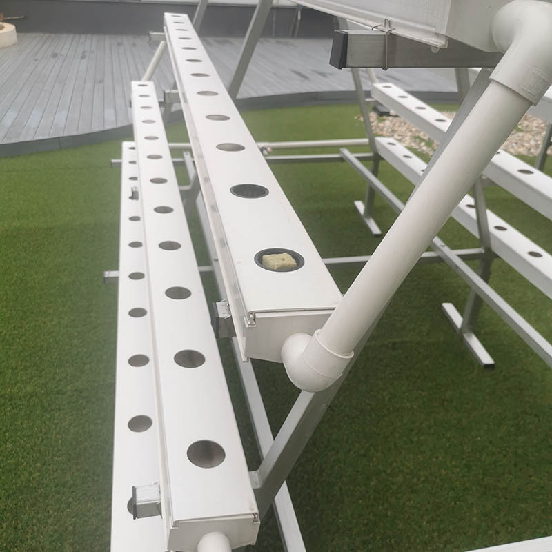 NFT Hydroponic System