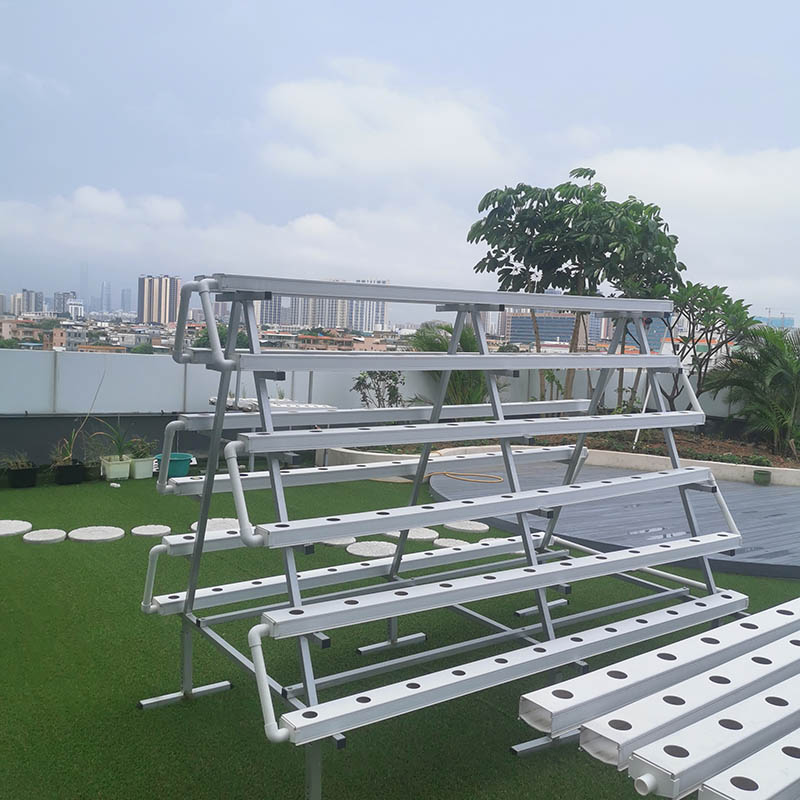 NFT Hydroponic System