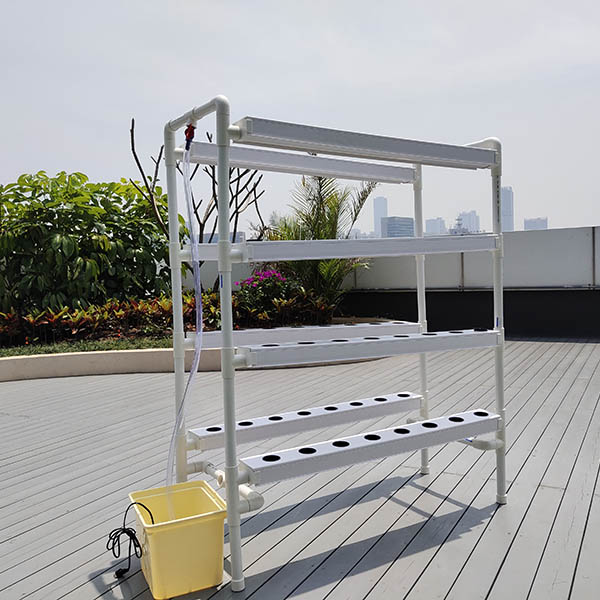 NFT Hydroponic System