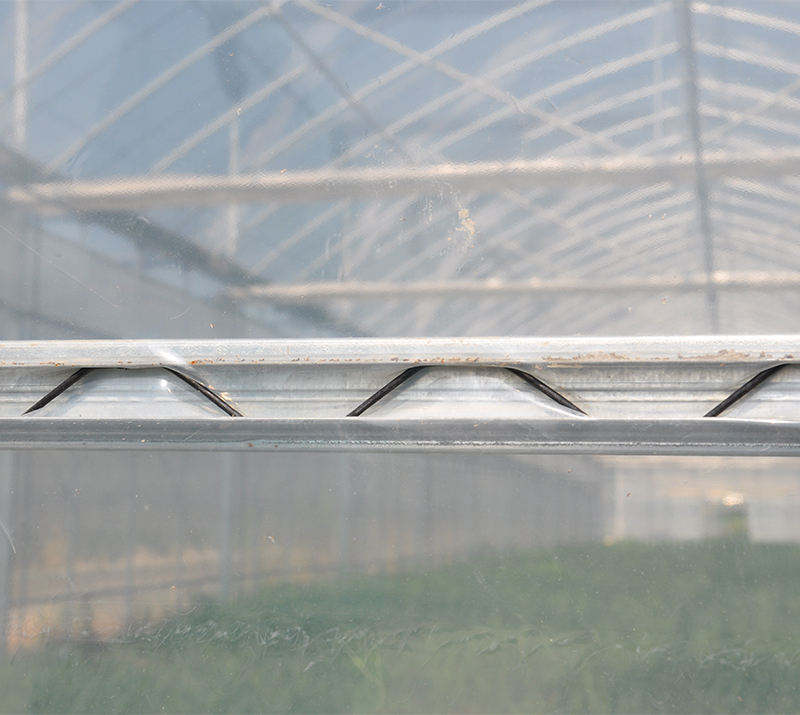 Greenhouse Wiggle Wire
