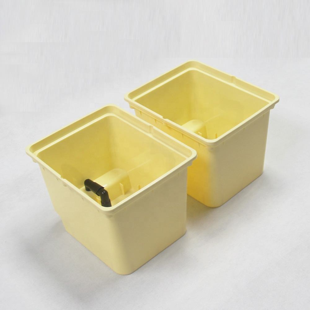 Dutch Bucket Hydroponics