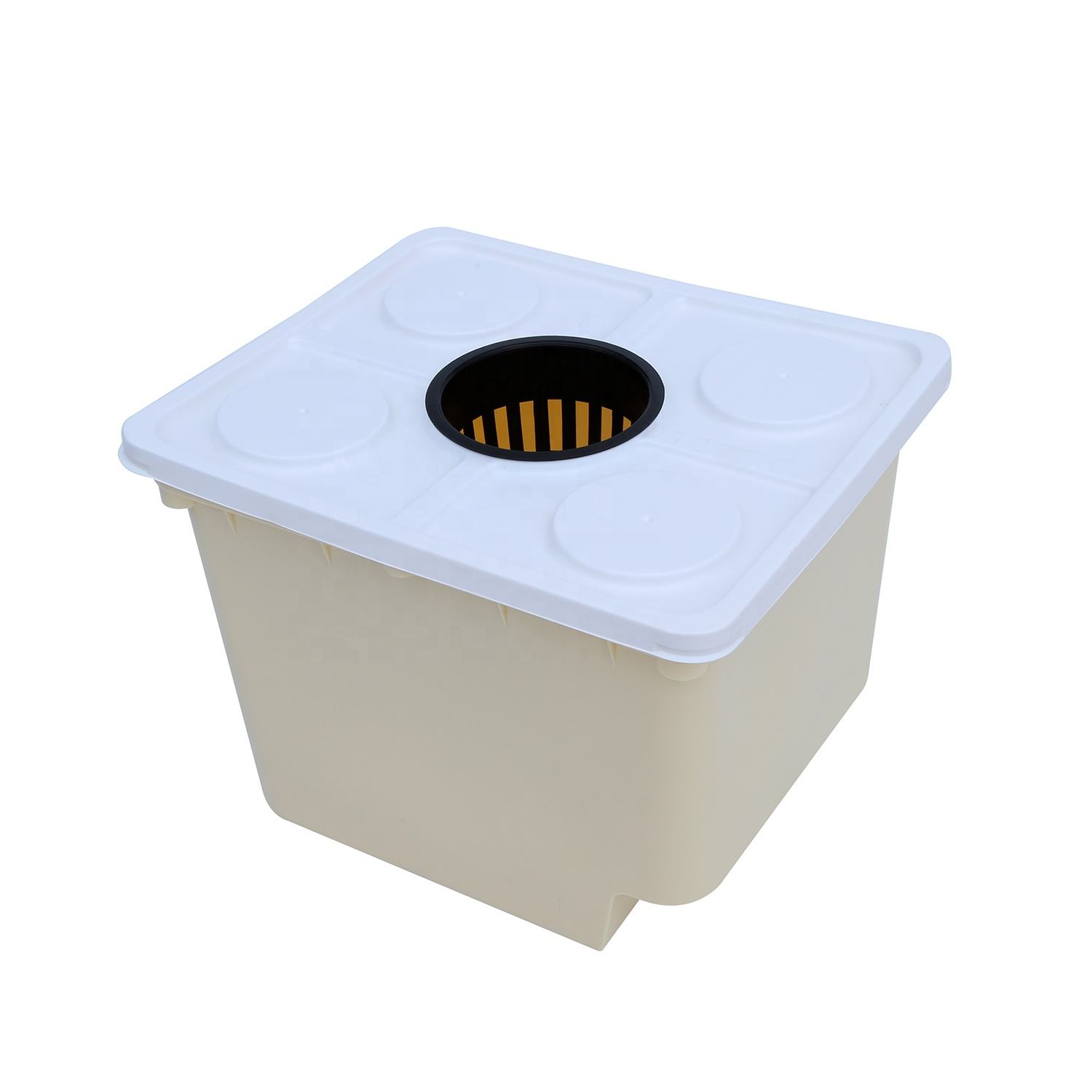 Dutch Bucket Hydroponics