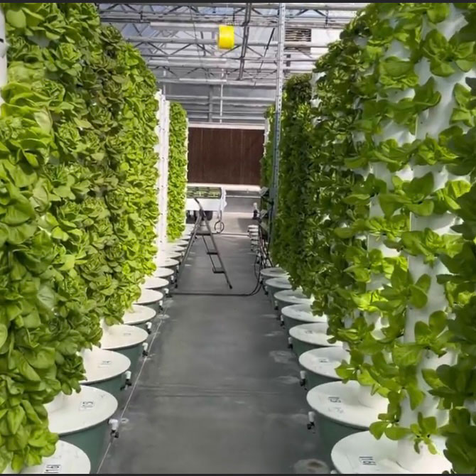 Hydroponic Tower System