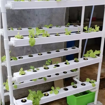 Mini Grow Kit