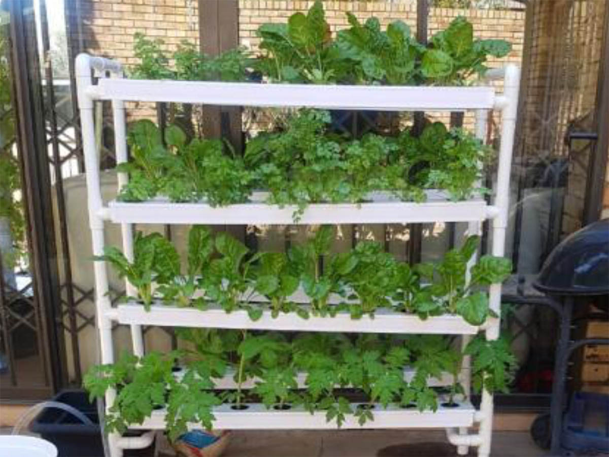 How Does a Vertical Hydroponic System Work?