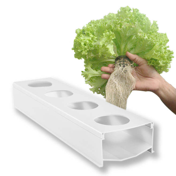 NFT Hydroponic Systems