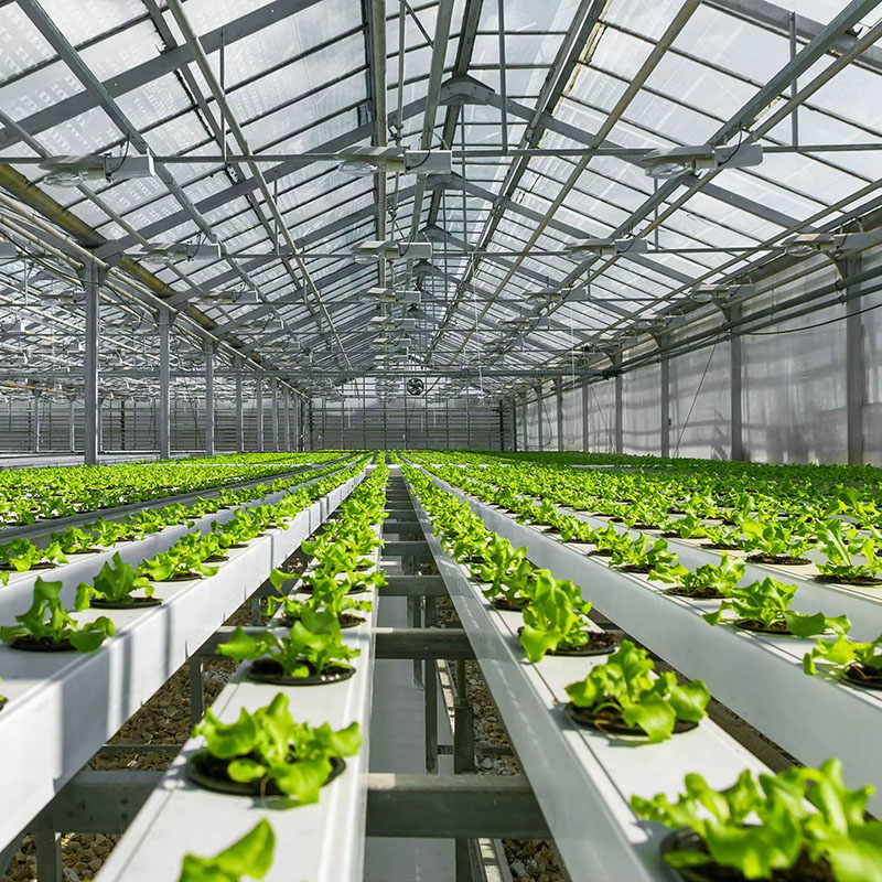 Vertical Farming Hydroponics System