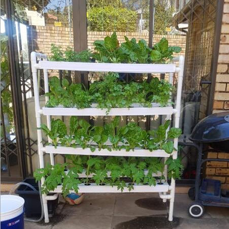 Indoor Vegetable Growing System