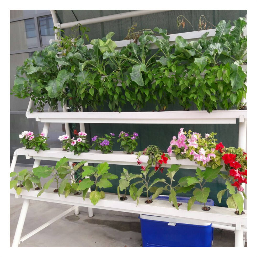 Hydroponics System Kit