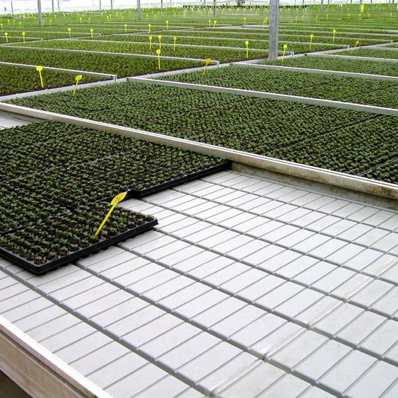 Hydroponic Ebb and Flow Table