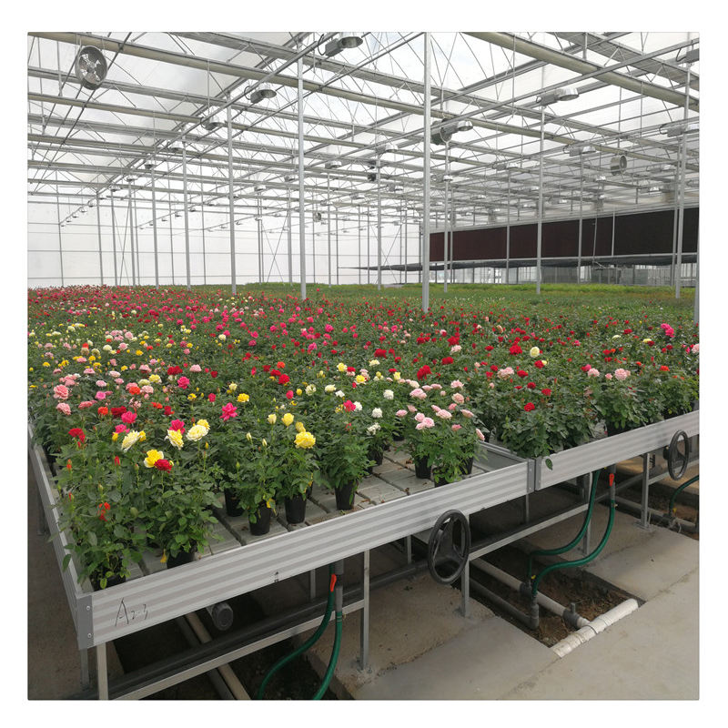 Hydroponic Flood Tables