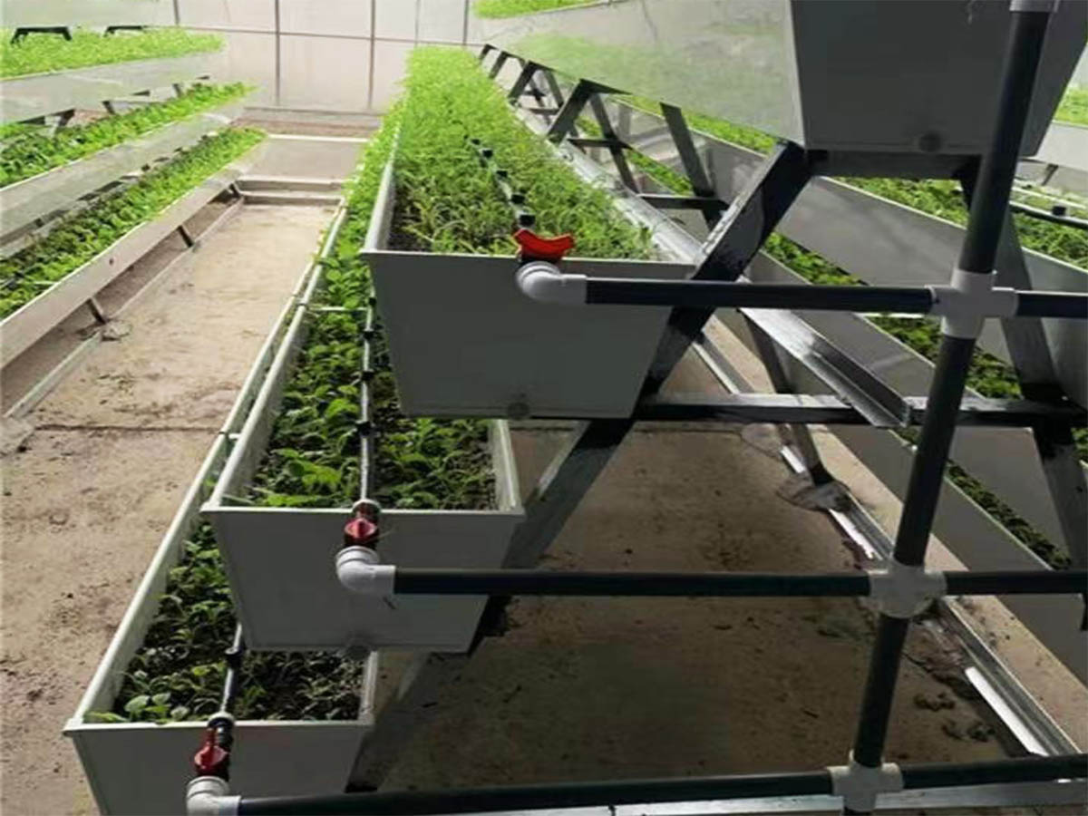 What Is Hydroponics Advantages and Disadvantages?