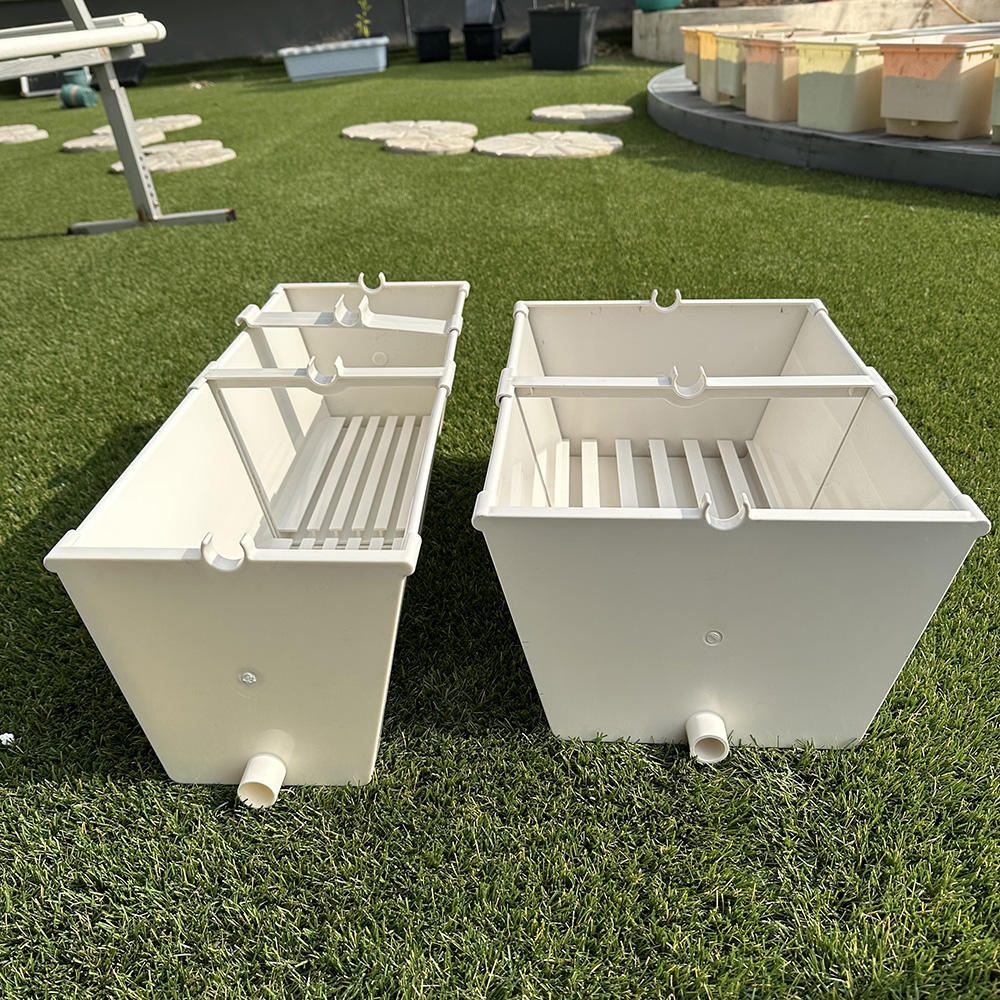 Commercial Hydroponic Strawberry Growing System Commercial Hydroponic Strawberry Growing System