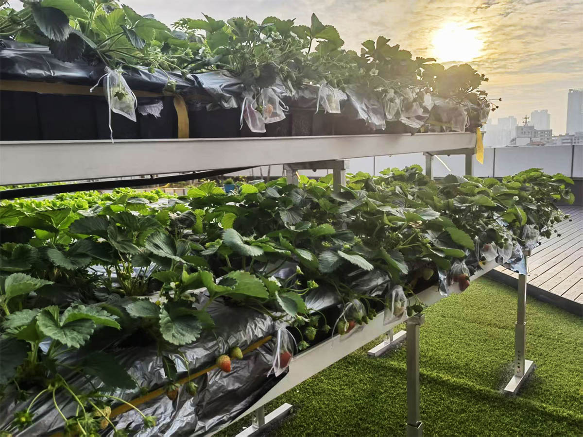 How Does the NFT System Work?