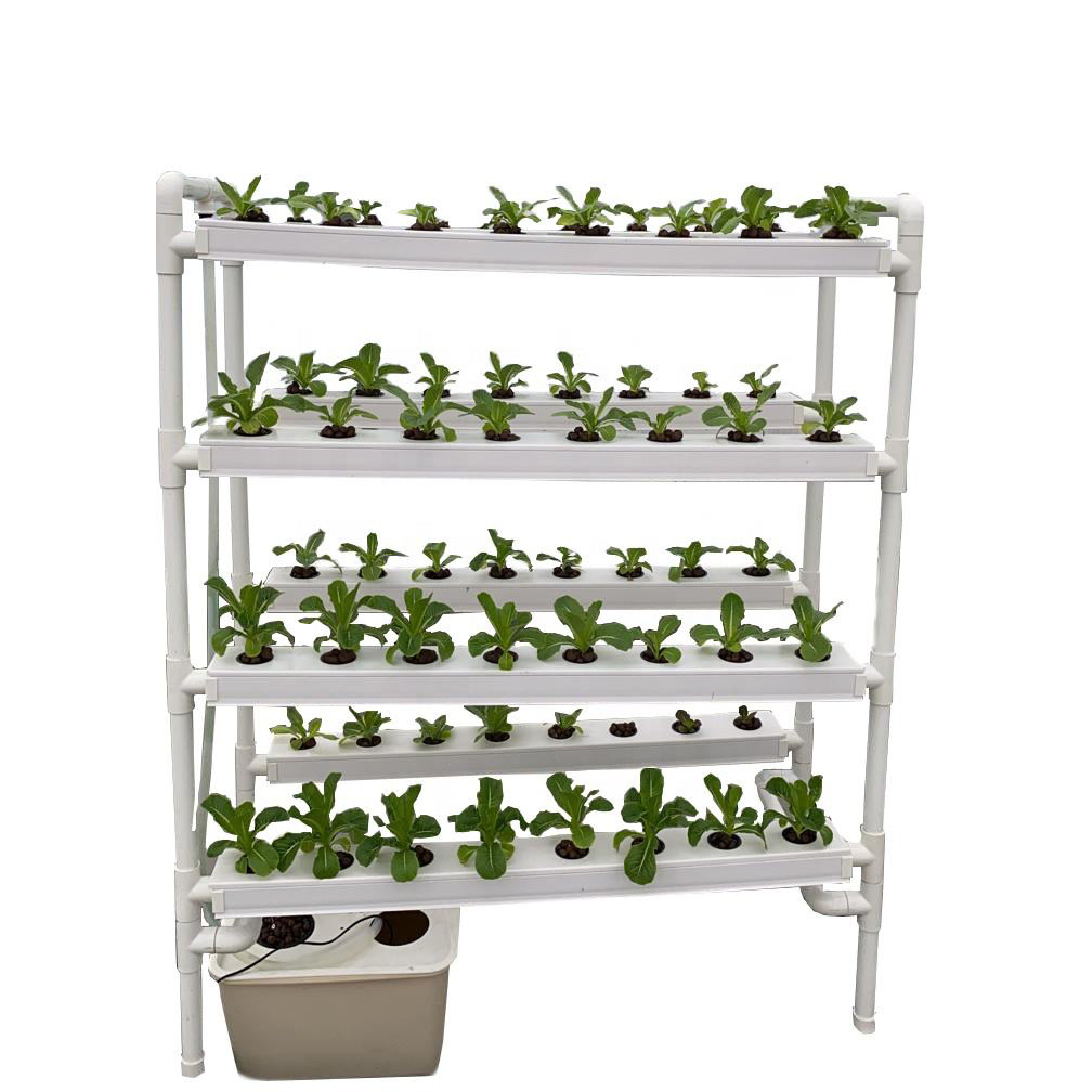 Hydroponic Vegetable Growing System