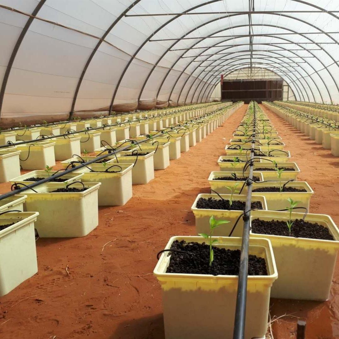 Buckets for Hydroponics Buckets for Hydroponics