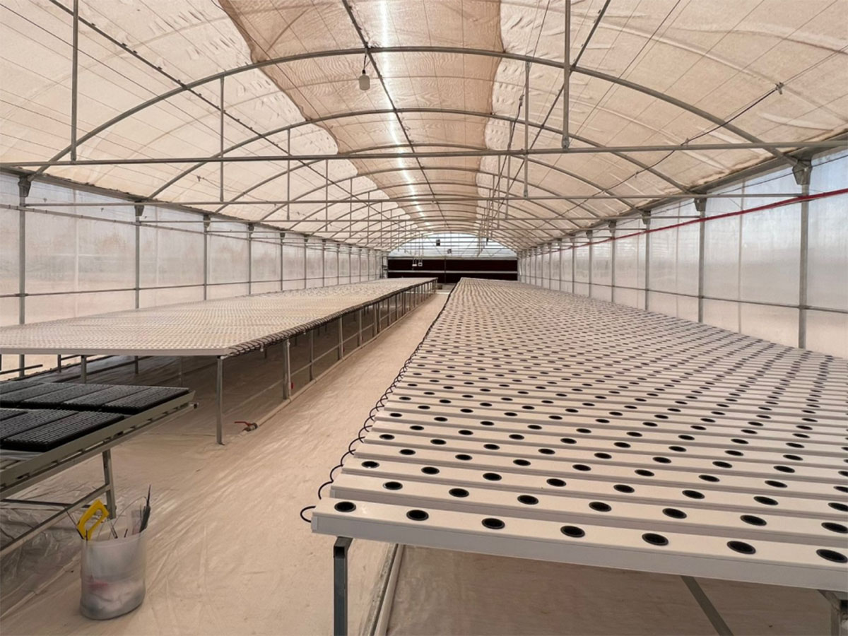 How to Set Up a NFT Hydroponic System