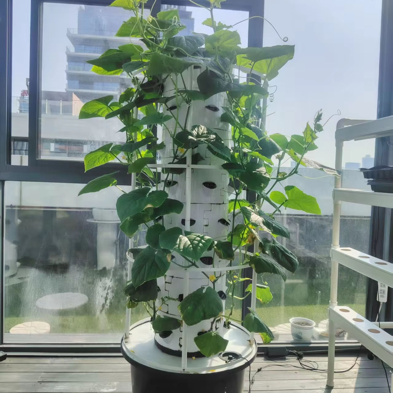 Vertical Hydroponic System