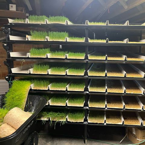 Customized Vertical Indoor Hydroponic System