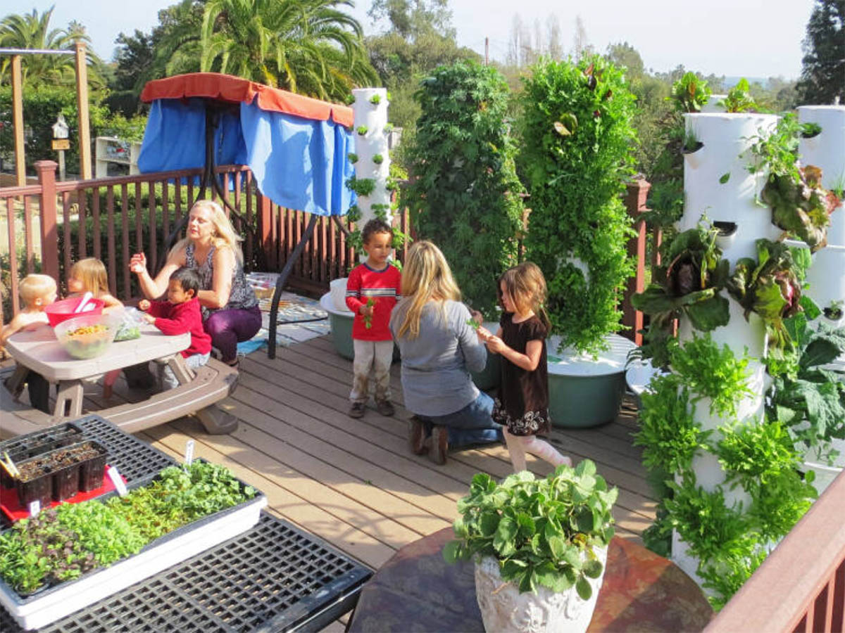 What Are the Benefits of Hydroponics?
